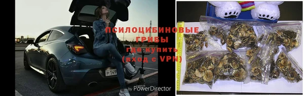 ALPHA-PVP Алексеевка