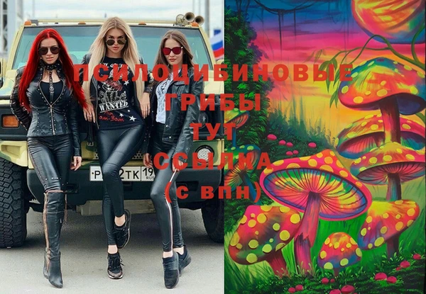 МДПВ Абдулино