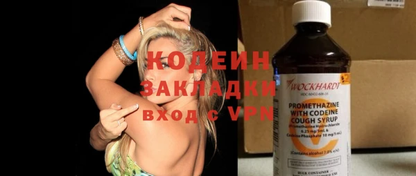 прущие грибы Абаза