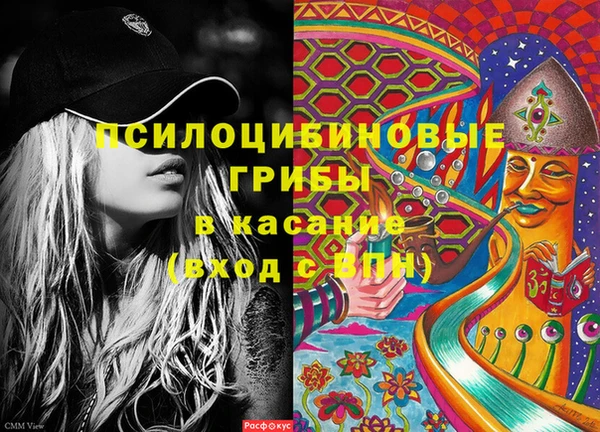 прущие грибы Абаза