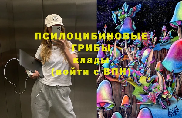 ПСИЛОЦИБИНОВЫЕ ГРИБЫ Алзамай