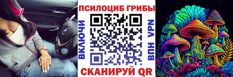 Псилоцибиновые грибы мухоморы  Шахты 